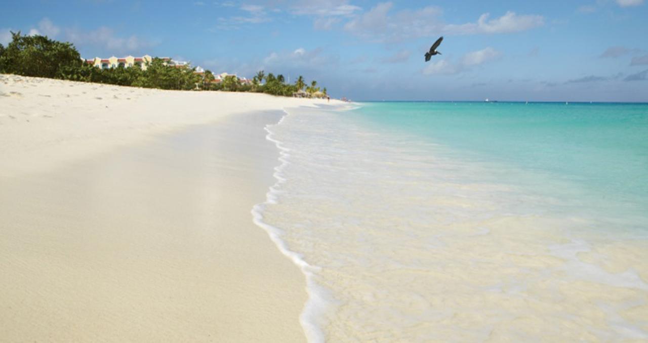 Buddha Studios Aruba Palm Beach Exteriér fotografie